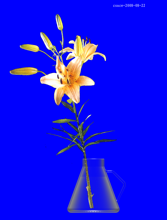 ˮƿ-2.jpg