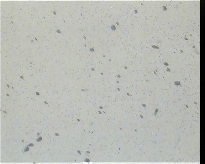 cap07.JPG