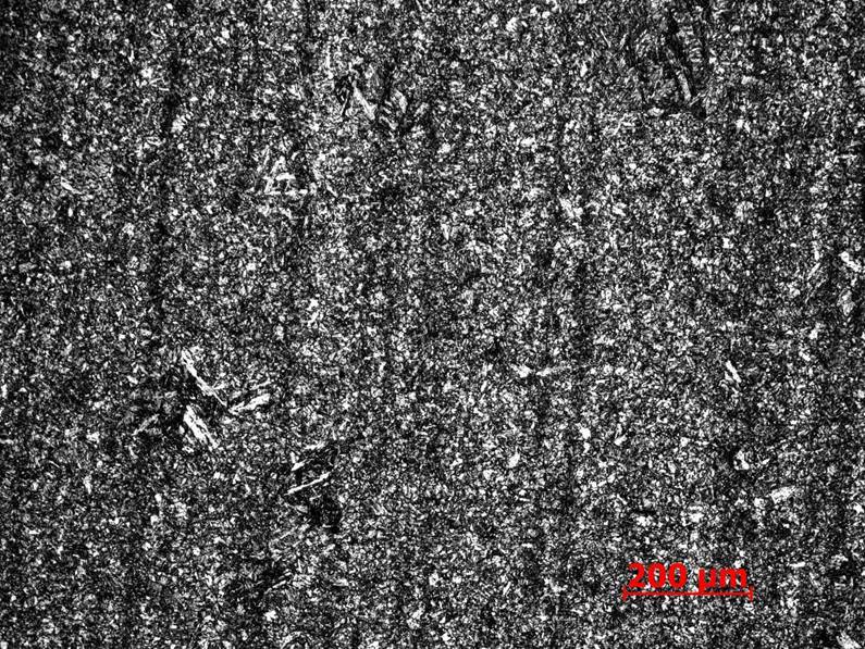 ����1 100��.jpg