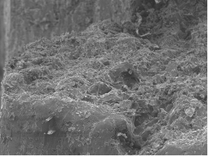 �����Ѳ�λ