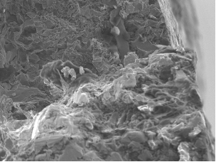 ��ʼ���Ѳ�λ