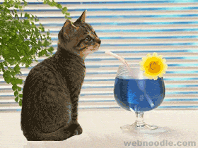 esoh12.gif