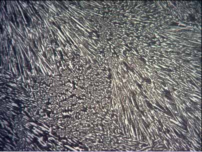 ͼƬ1 ����.jpg