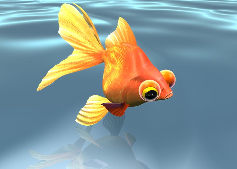 fishp1.jpg