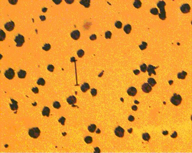 100X 100um ������1.JPG