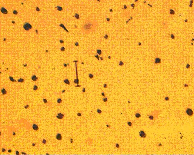 100X 100um �Ĳ�.JPG