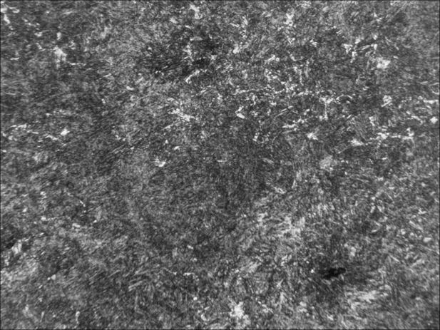 ������С 200�� ������+����������.jpg