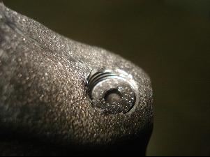 һ���Զ�����˨�ɶ����