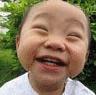 136204.gif