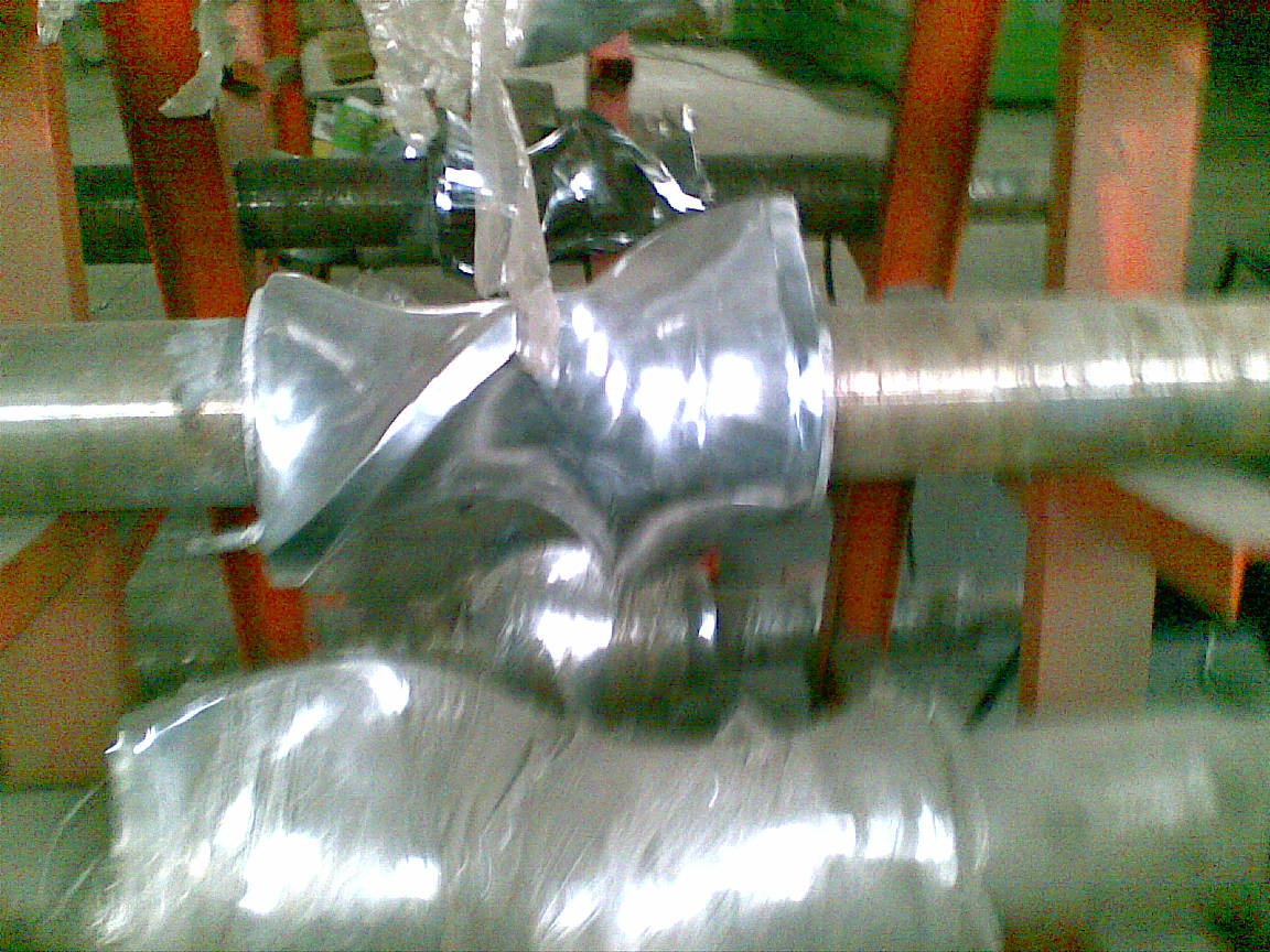 20090729(007).jpg