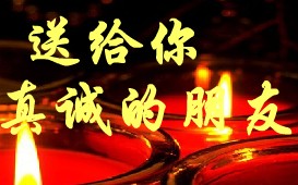 1C2811F9BC6B14FE4684503C5D08F7FF.jpg