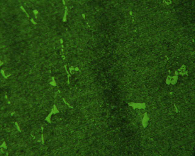 091214  DC53 4���� 400X ID549.jpg