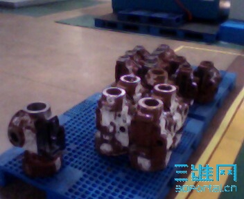 IMG0541A.jpg
