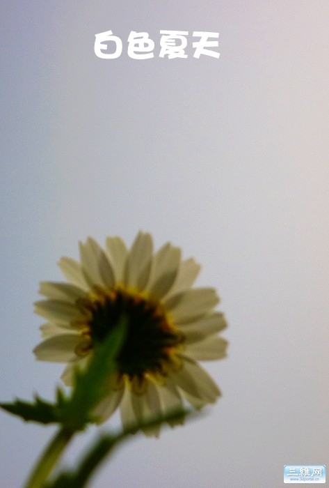 010.jpg