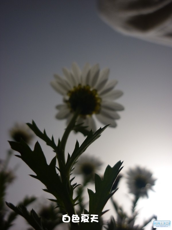 004.jpg