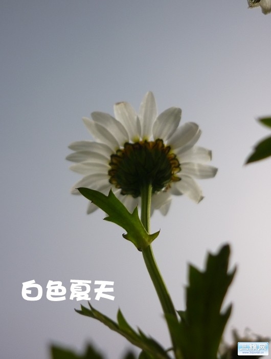 005.jpg