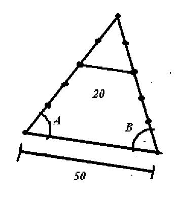20.JPG