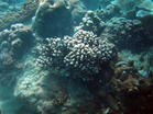 u=256724532,1456305536&amp;fm=3&amp;gp=0.jpg