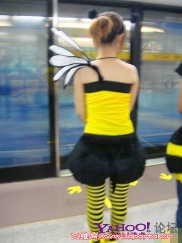9_1196074_6663022151db2ba.jpg