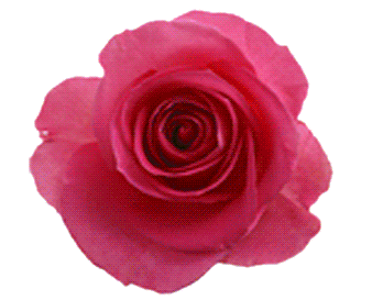 @J[4$L$H~B3)]TINT)G[{N0.gif
