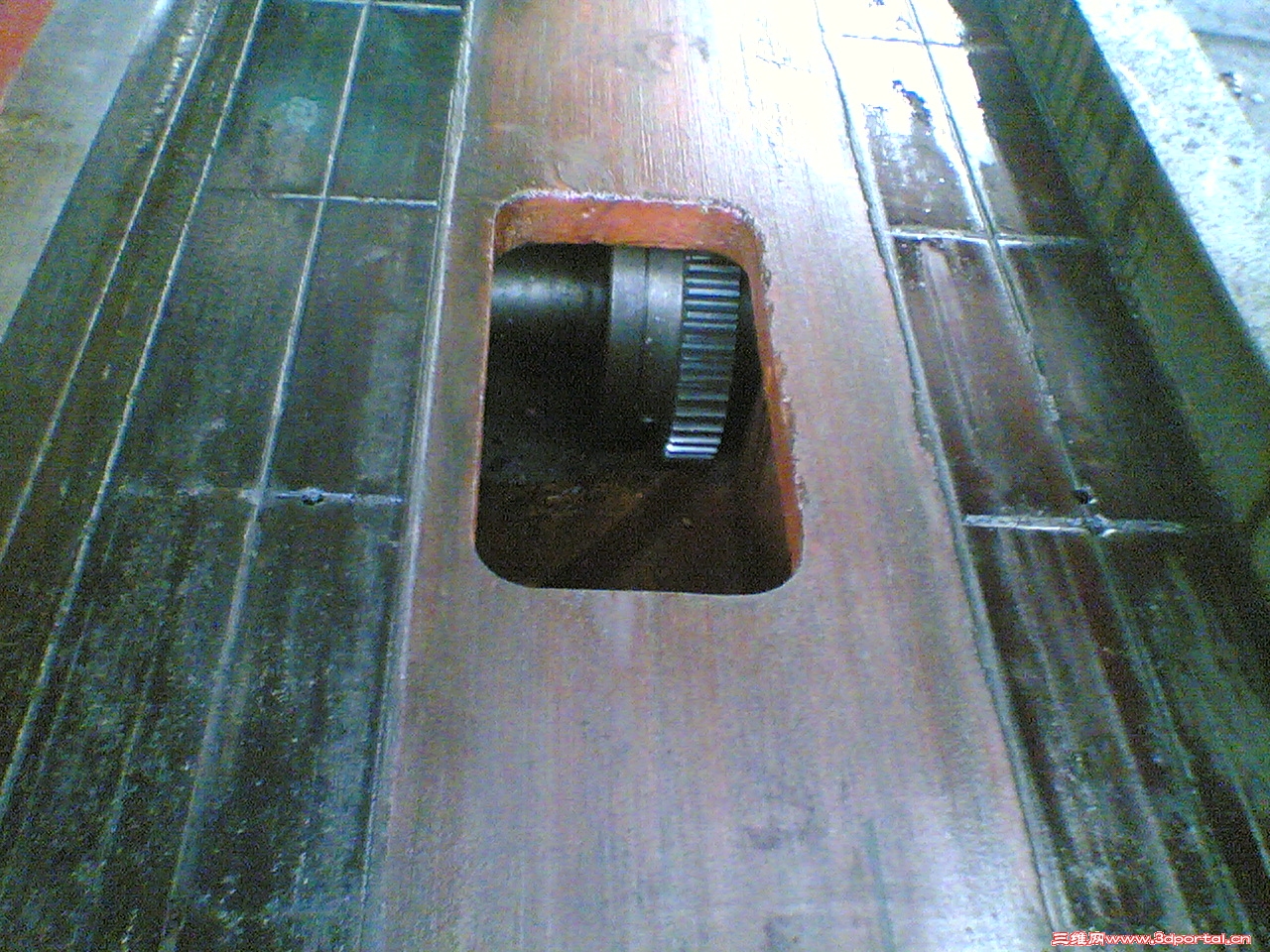 20110326(008).jpg