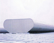 p4.jpg