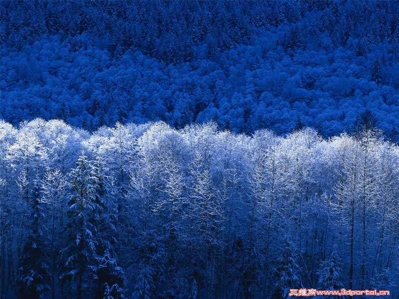 Winter.jpg