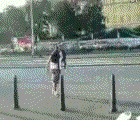 ÷׮һ˻ߵ.gif