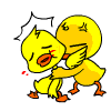 0.gif