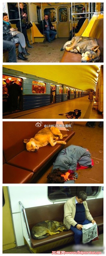 63943f51jw1dmnhrbpmk5j.jpg
