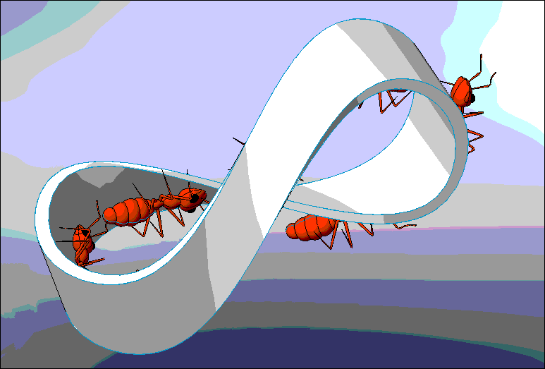 11.gif