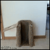 63943f51jw1do11d0s5i8g.gif