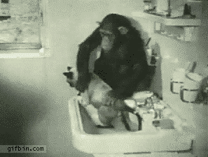 701481d9jw1do0w8tg0amg.gif