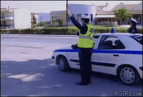 314e251f95cad1c8fd9e96807f3e6709c93d516b.gif