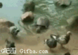 δ.gif