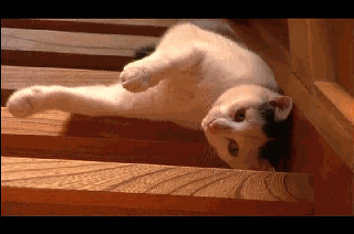 5f877bc0jw1dnik96qwt3g.gif