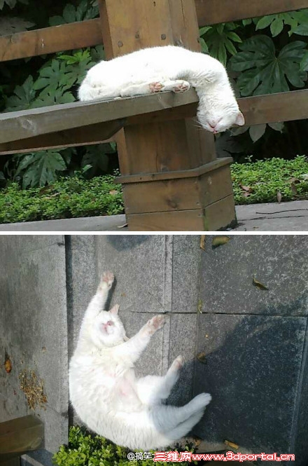 è.jpg