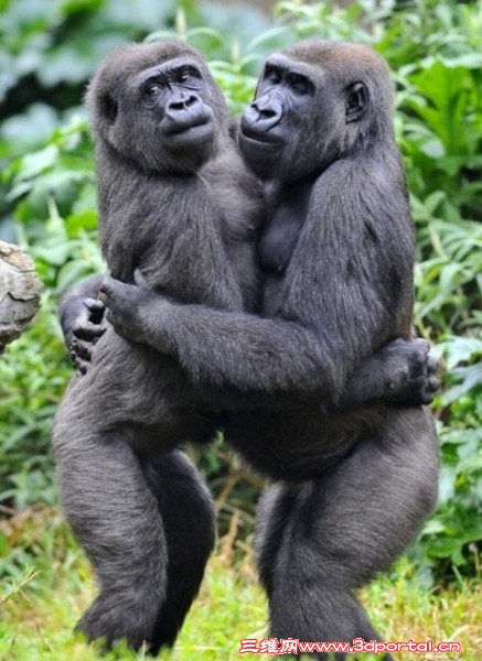 359258 想我就爱我吧